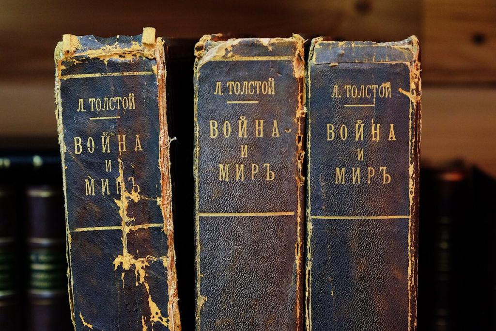 В НовГУ рассказали, какие книги школьники порекомендовали детям будущего В НовГУ рассказали, какие книги школьники порекомендовали детям будущего